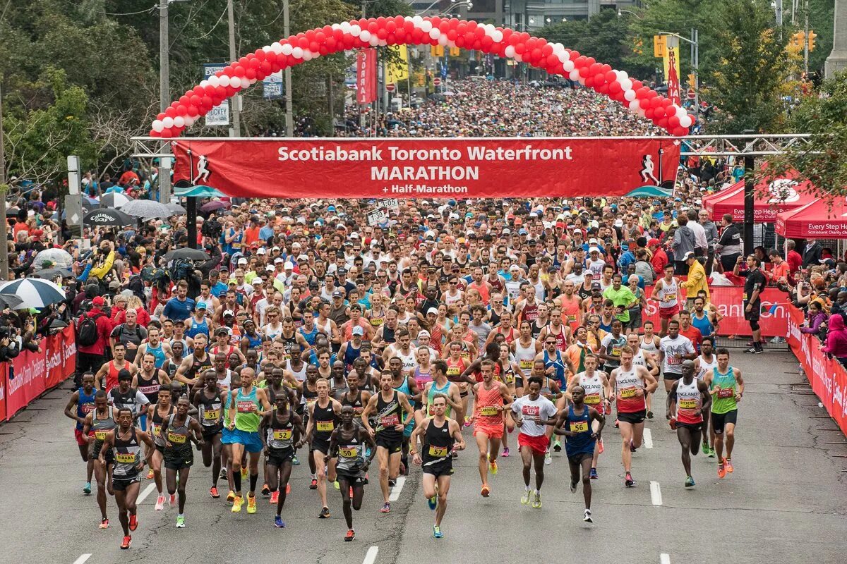 Марафон рабочее сегодня. Картинки марафон в австралии. marathon start. scotiabank toronto waterfront marathon- half marathon walk. марафон сонграйтер.