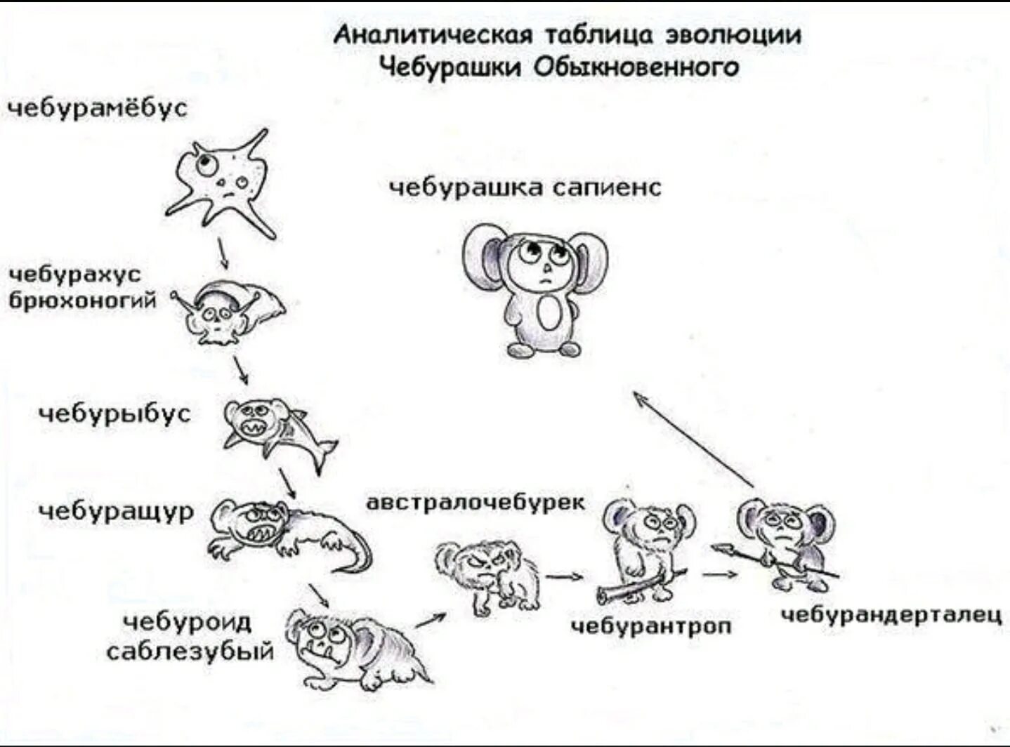 Смешная биология. Биологические шутки. Биология приколы. Анекдоты про биологию.