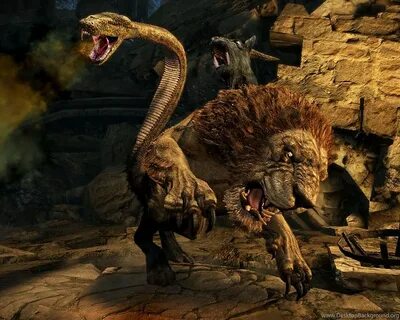 Под разными небесами dragon dogma