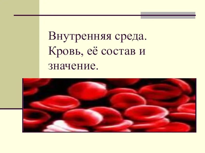 влияние жары на человека. потная женщина. бросает в пот без температуры. внутренний жар в теле. температура организма.