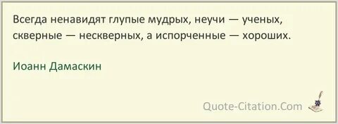 Глупая мудрость это