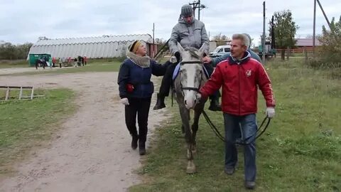 Вязки конный