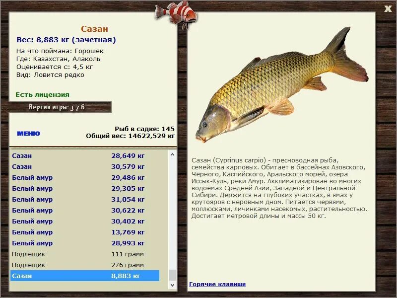 Карп русская рыбалка 3. Максимальный размер сазана. Сазан Размеры. Сазан размер средний. Сазан максимальный вес.