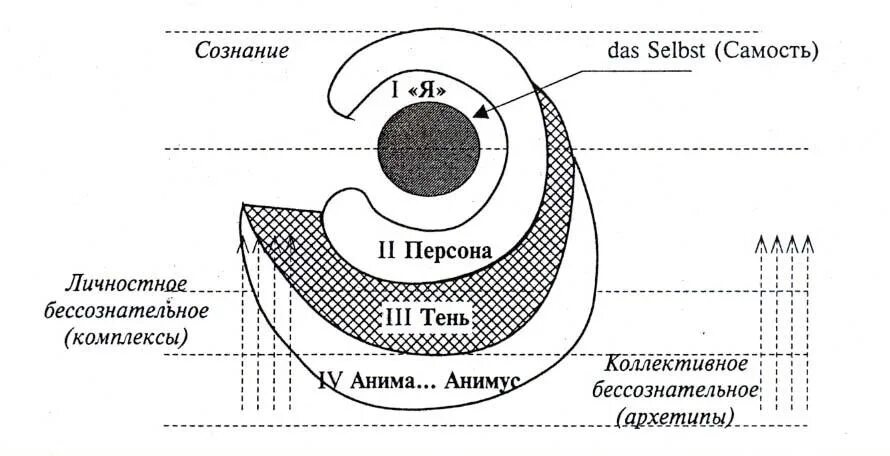 Коллективное бессознательное состоит из. Юнг схема бессознательное самость. теория личности юнга схема. структура психики по юнгу схема. структура личности юнг схема.