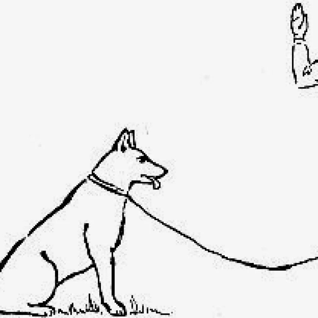 Команды для собак. Команды для собак жестами. Команда сидеть для собаки. Команды для собак жестами рук. Дрессировка собак команды и жесты.