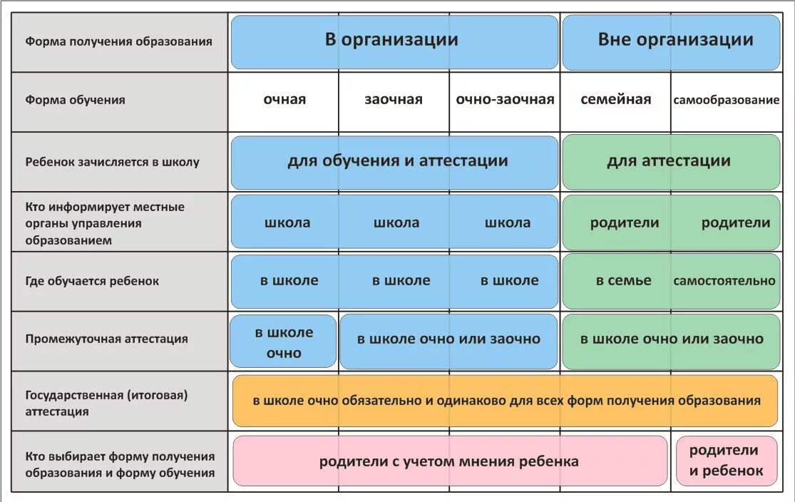 Какую форму обучения выбрать