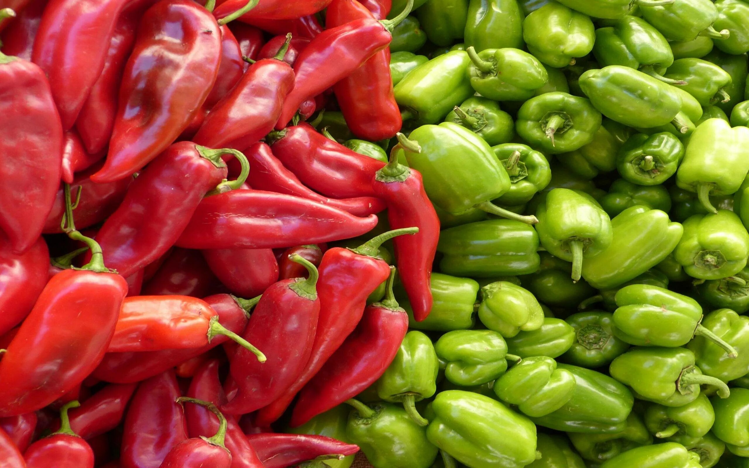 Перец апачи. Любит ли перец. Перец горький огонек. Паприка и болгарский перец. Перец красный сладкий.