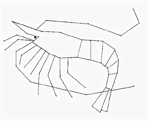 У паукообразных две пары усиков. Членистоногое покадровая анимация.