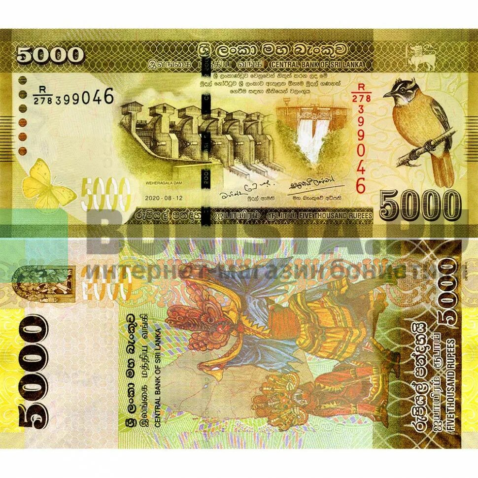 5000 рупий. Шри Ланка банкноты. Купюры Шри-Ланка распечатать. Действующие купюры Шри Ланки.
