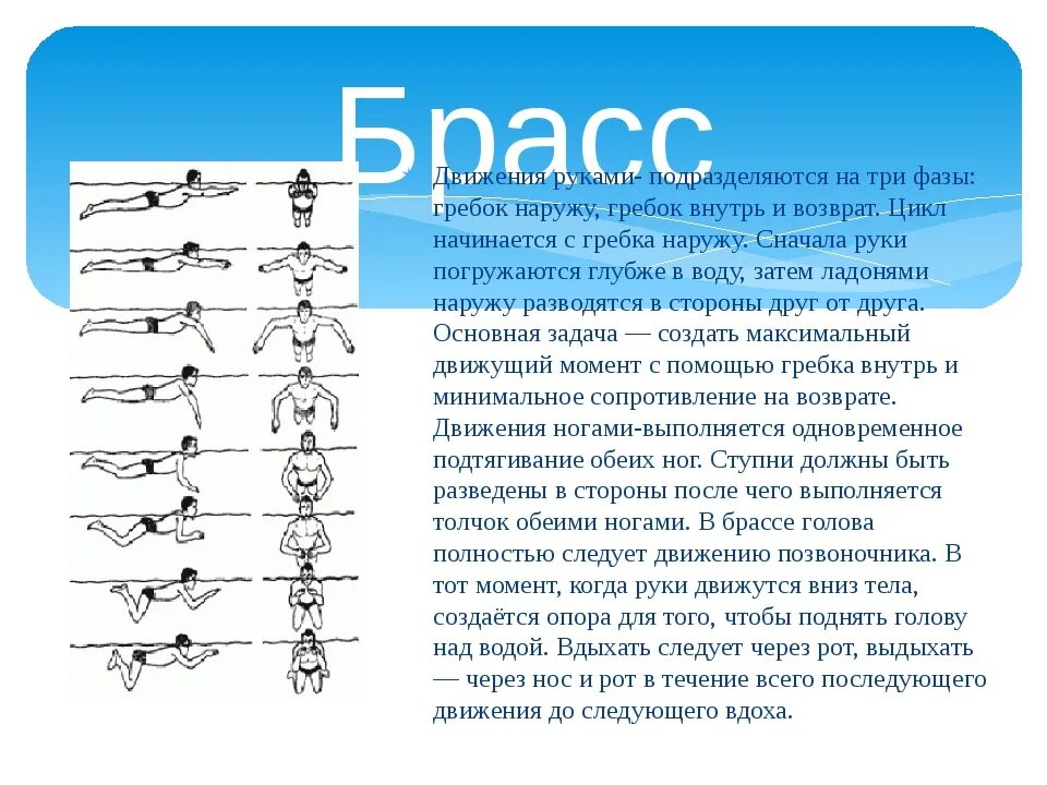 Техника плавание фазы брассом. Техника движения рук при плавании брассом. Движение ног при плавании брассом. Брасс ноги движения техника. Движение конечностей 3