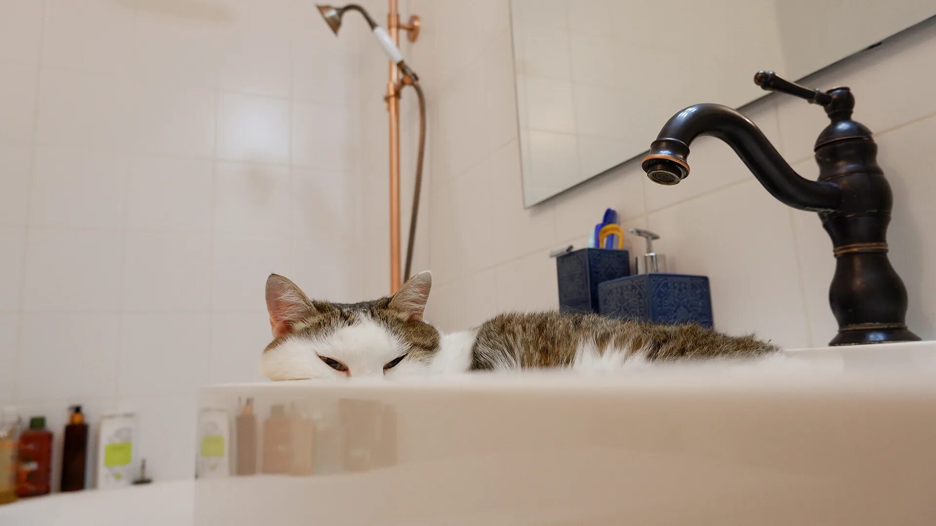 Отключили воду барнаул сегодня. Отключили воду барнаул сегодня. Отключили воду барнаул сегодня. Отключили воду барнаул сегодня. Отключили воду барнаул сегодня.