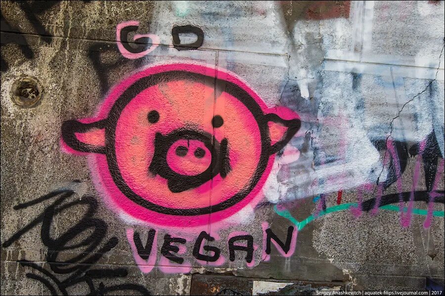 Свинья кс го. Граффити пятачок. Граффити свинка. Graffiti свинья. Граффити кабан.