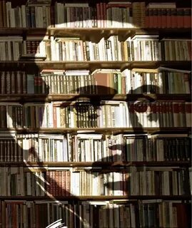 Library m