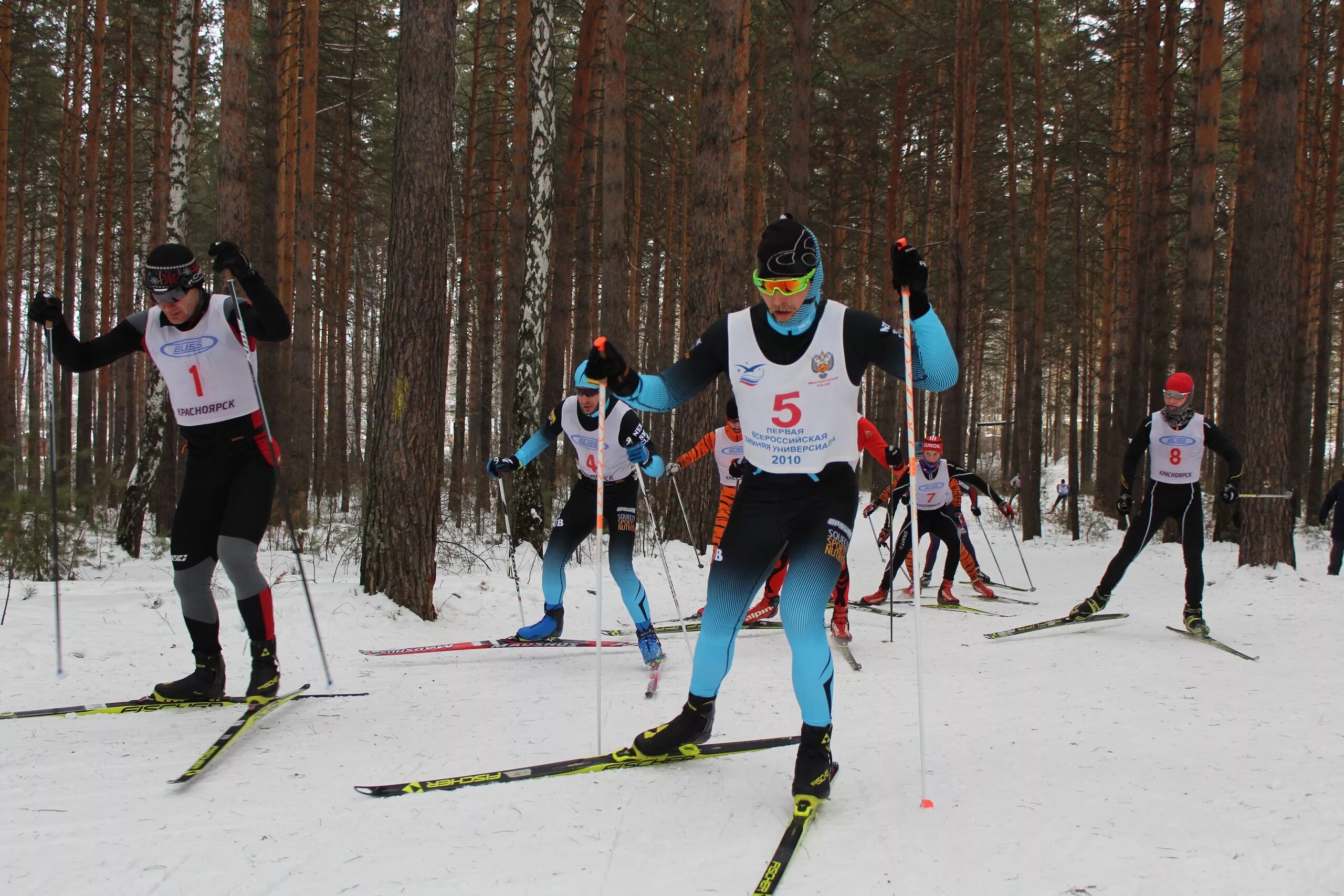 лыжники красноярский край война. чубаево лыжные гонки. лыжники красноярского края. сайт лыжных гонок красноярского. лыжники красноярска.