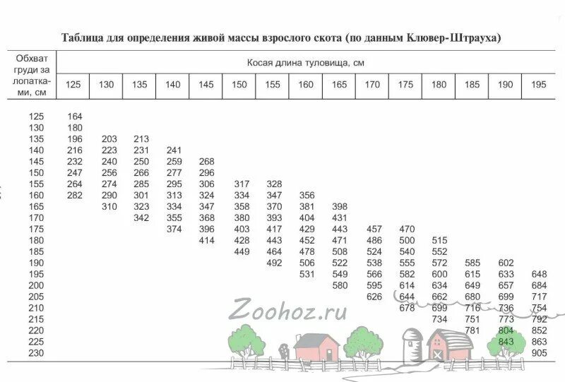 Определение массы животных. Таблица для определения живой массы по способу клювер штрауха. таблица измерения живого веса крс быки. таблица измерения живого веса быков. таблица клювер штрауха.