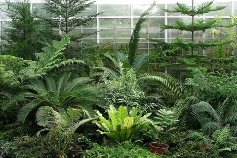 Plants file