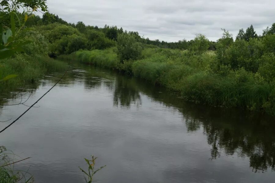 Погода вякшенер