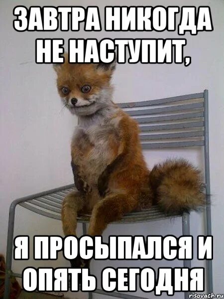 Скоро наступит завтра. А завтра никогда. когда нибудь наступит завтра но не сегодня. завтра не настанет никогда. завтра никогда не наступит просыпаешься и снова.