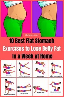 exercise to reduce belly fat for female at home for beginners.