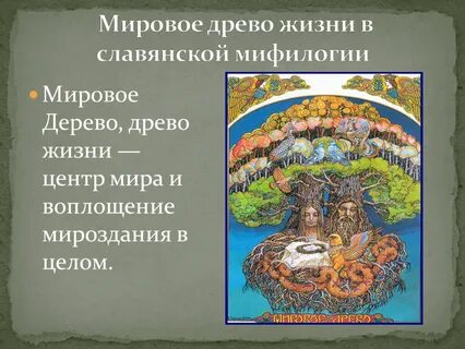 Древо жизни центр