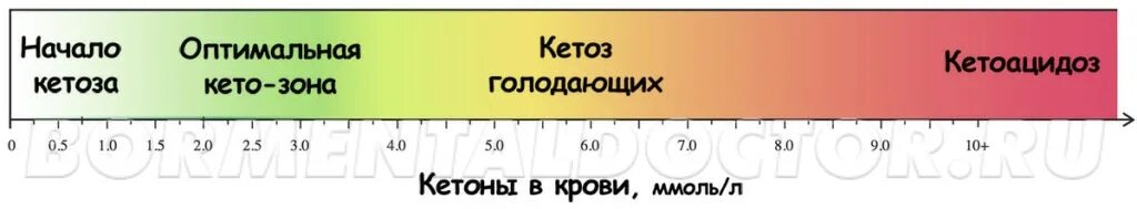 Уровень кетоза. Кетоз. Кетоз уровень кетонов в крови. Уровень кетоза. Уровень кетонов в моче при кето диете норма.