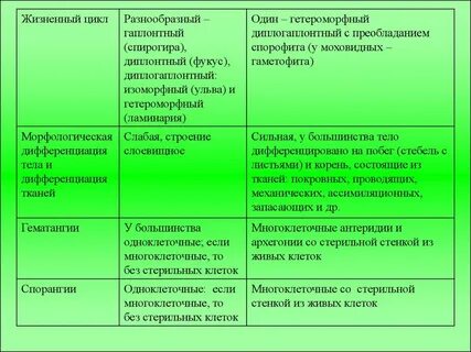 Дифференциация тканей растений
