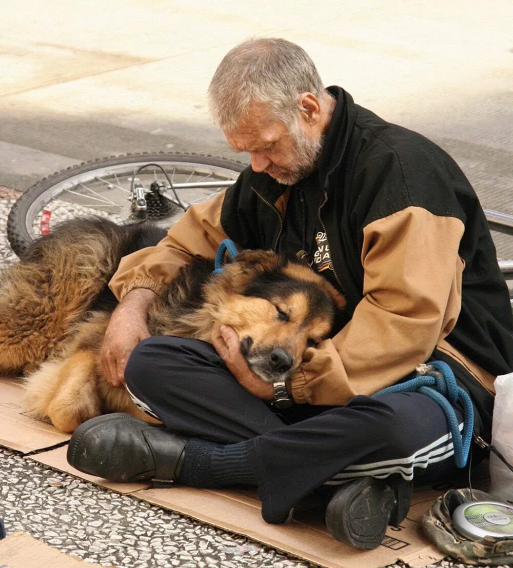 Бездомные собаки. Преданные собаки. Преданность собаки к человеку. Человеческая доброта.