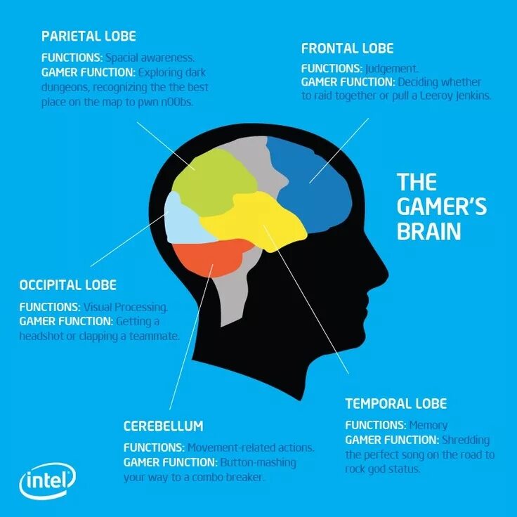 Brain processing. Мозг геймера. Инфографика компьютерные игры. Мозг рассказывает. Frontal Lobe function.