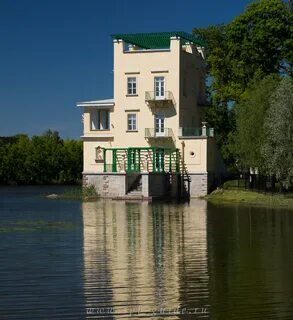Ольгина работа