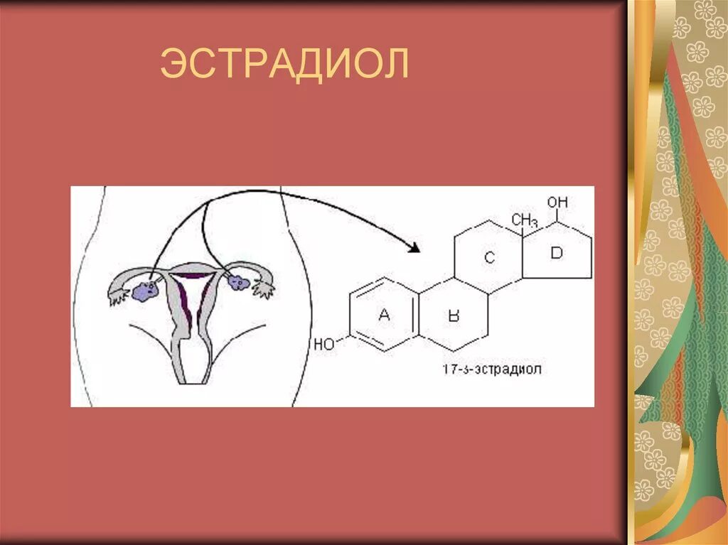 Эстрадиол гормон у мужчин за что отвечает