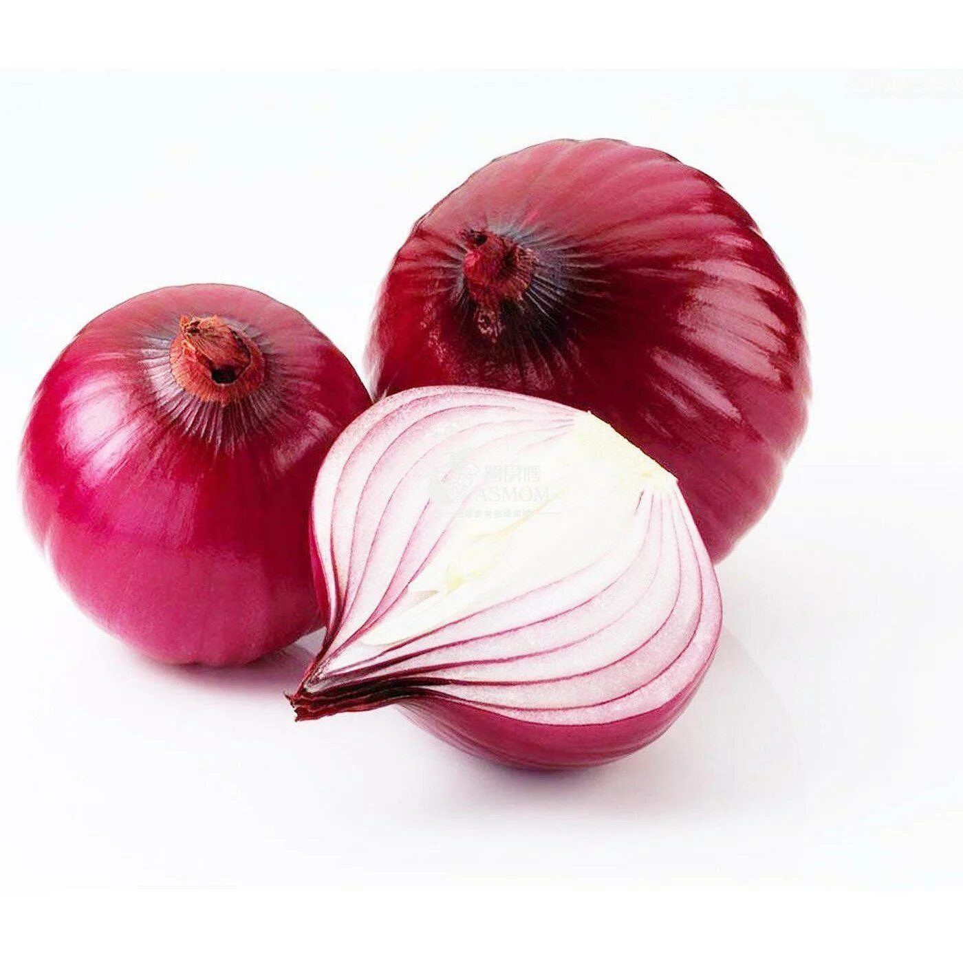 Red onion api download