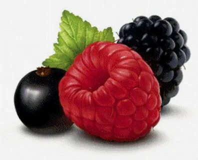 Ягода 8 слов