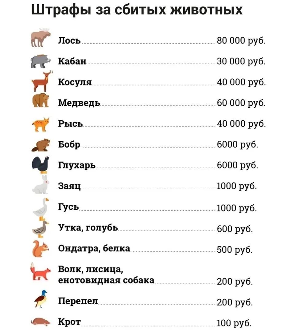 Штраф за сбитого лося в 2022 году. Штраф за сбитое животное 2021. Штрафы за сбитых животных. Сколько штраф за медведя. Штар за сбитых животных.