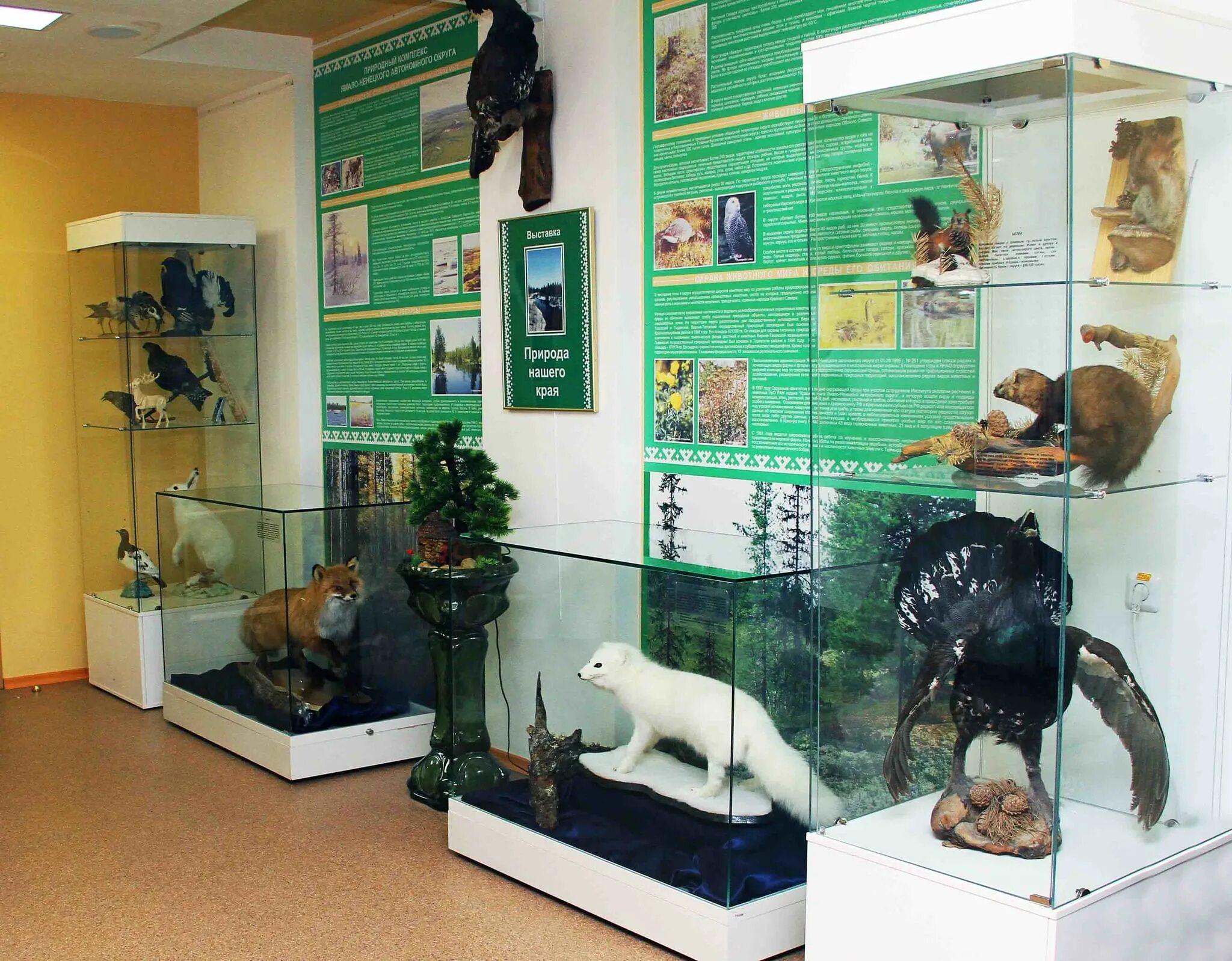 Музей освоения севера губкинский. Музей освоения севера. Музей освоения севера губкинский. Музей освоения севера губкинский. Музей севера в губкинском.