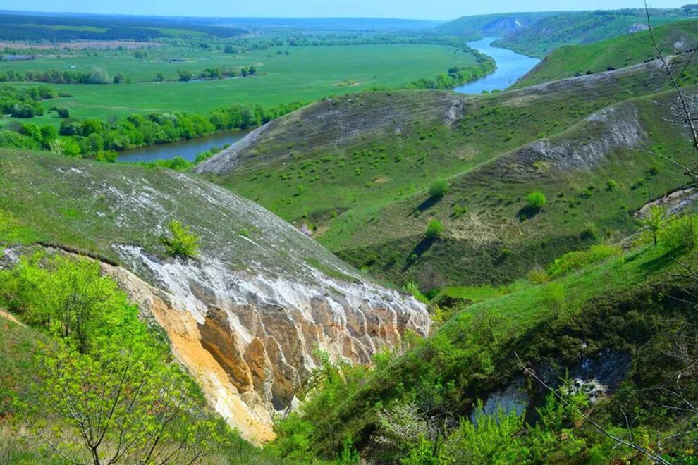картошка по хохольский. костёнки воронеж. костёнки воронежская область раскопки. хутор титчиха воронежская область. костёнки древняя стоянка.