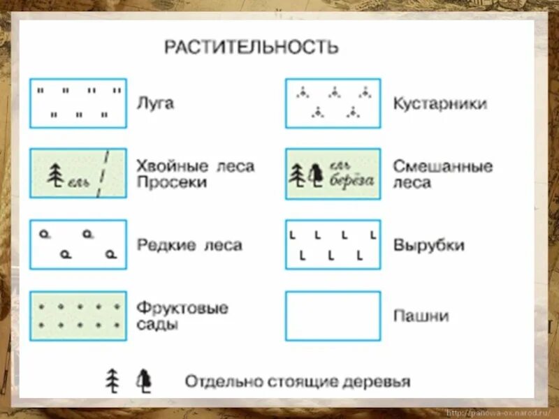 Топографические знаки 5. Обозначение деревьев на топографической карте. Лес обозначение на топографической карте. Обозначение леса на топографических картах. Условные обозначения деревьев на топографических картах.