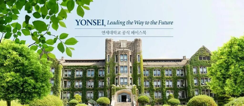 Yonsei факультеты. Университет Йонсей Южная Корея. Университет ёнсе в Корее. Енисей университет Корея. Ёнсе университет Андервуд.