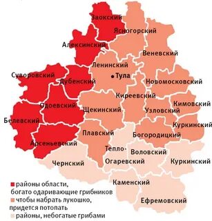 Координаты тулы