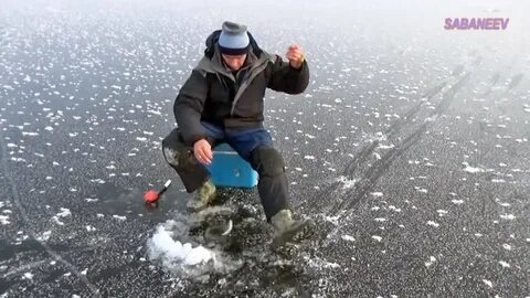 Рыбалка прикормка видео