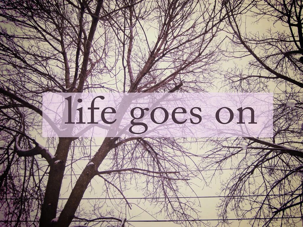 Life goes only. Life goes on рисунки. Обои Life goes on. Go on. Life goes on Автор.