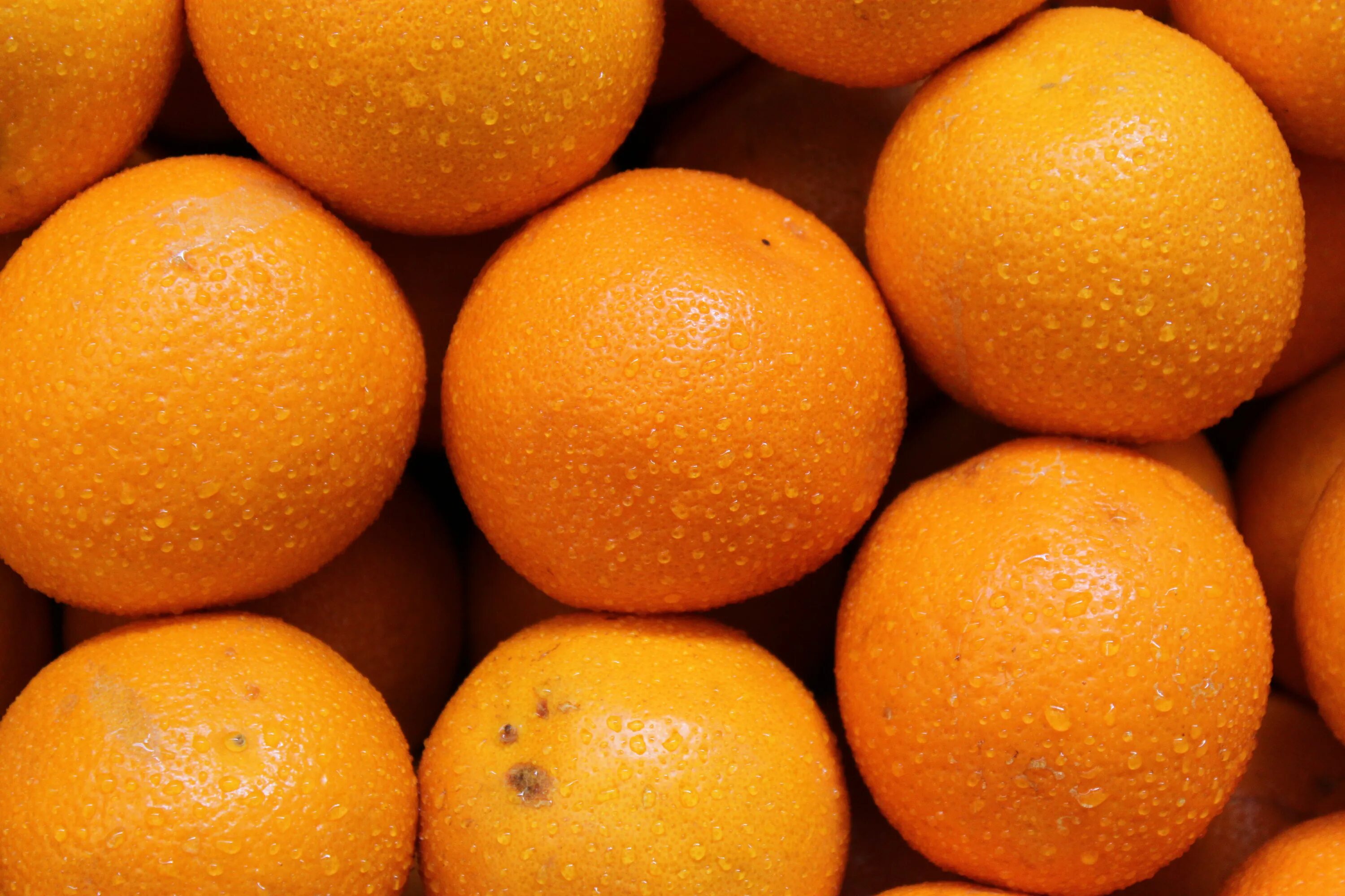 Картинки апельсин. Апельсин. Оранжевые фрукты. Спелый апельсин. Апельсин фото.