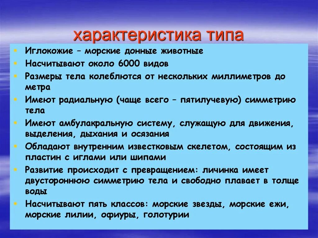 Краткая характеристика класса 8 класс. Характеристика иглокожих. Тип иглокожие общая характеристика. Характеристика иглокожих таблица. Тим иглокожих общяя характеристики.