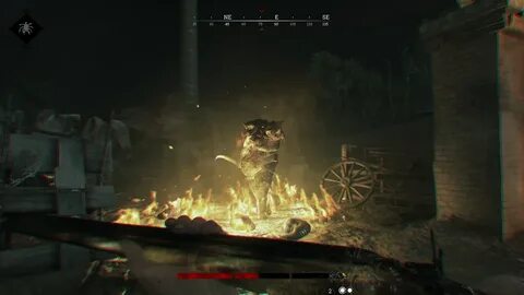 Hunt showdown xbox
