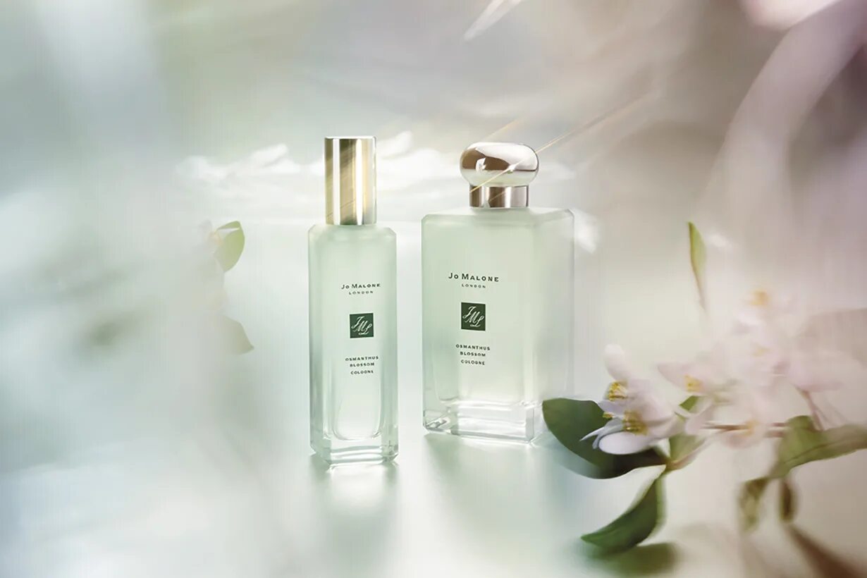 Духи Jo Malone Osmanthus. Jo Malone Osmanthus Blossom Cologne. Jo Malone Osmanthus Blossom Cologne, 100 ml. Джо Мэлоун Лондон. Silk blossom jo