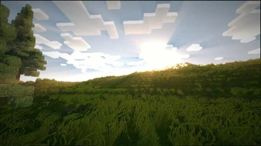 Lris shaders