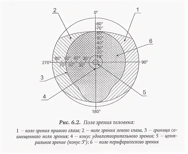Центр поля это. Центральное поле зрения. поле зрения глаза. поле зрения правого глаза. поле зрения физиология.