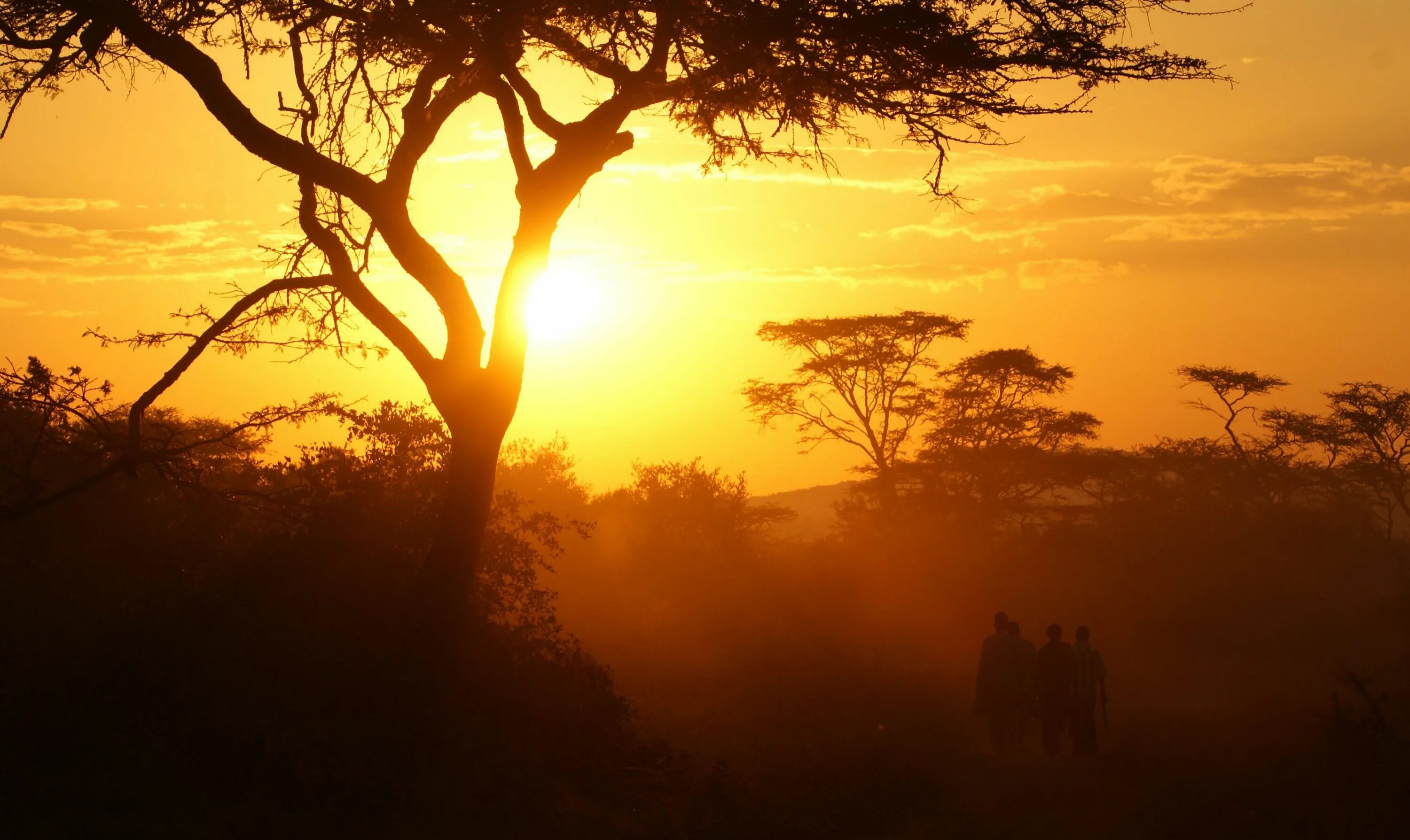 Каждое утро в африке. Уганда климат. Кампала Уганда. Уганда природа. Природа Африки.