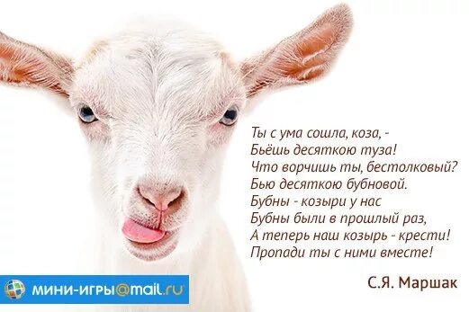 Бьешь десяткою туза. Ты с ума сошла коза. ты с ума сошла коза бьешь. ты коза ты ты коза коза. бьешь десяткою туза коза.