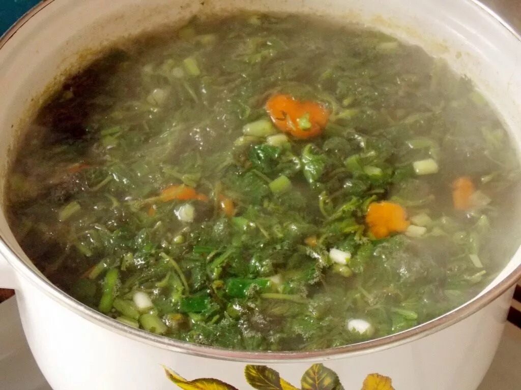 Крапивный суп польза. Крапивный суп. Скисший суп. Суп прокис. Щи зеленые.