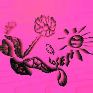 Rose skies